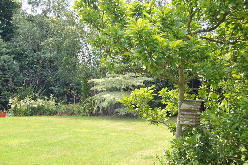 Beechwood Country House Guest House Малахайд Екстериор снимка